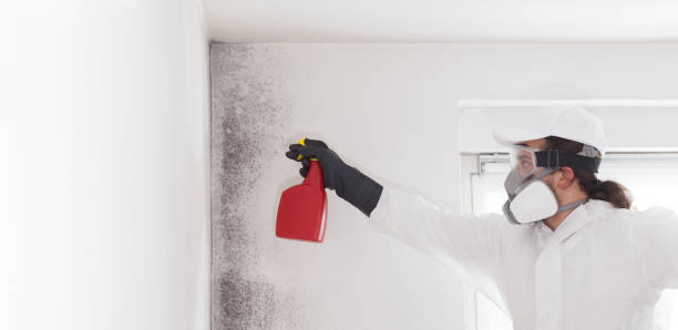 Best Emergency Mold Removal  in Emma, NC